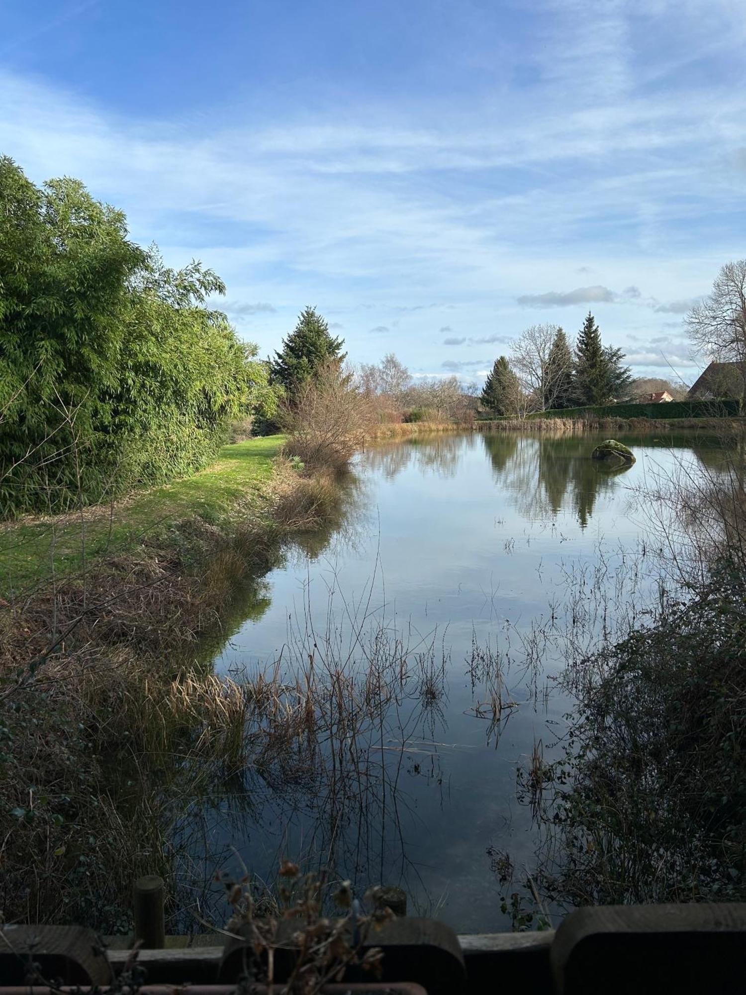 Le Domaine De La Vergnolle Roches  Екстериор снимка