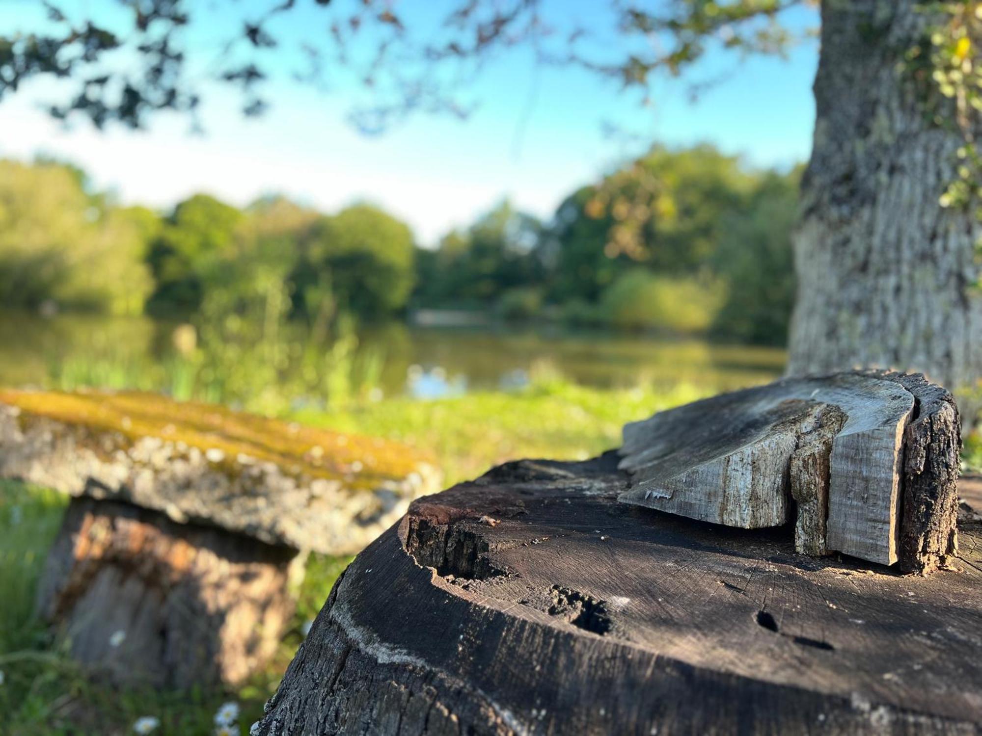 Le Domaine De La Vergnolle Roches  Екстериор снимка