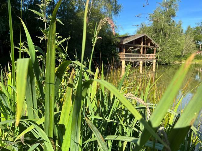 Le Domaine De La Vergnolle Roches  Стая снимка